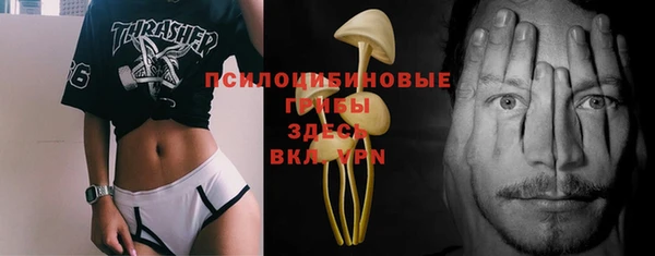 не бодяженный Алексин
