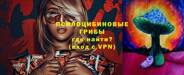 apvp Армянск